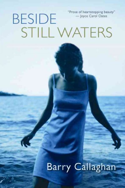 Beside still waters / Barry Callaghan.