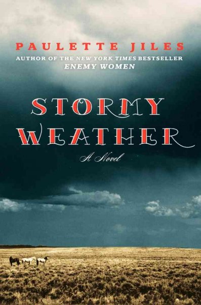 Stormy weather [book] / Paulette Jiles.