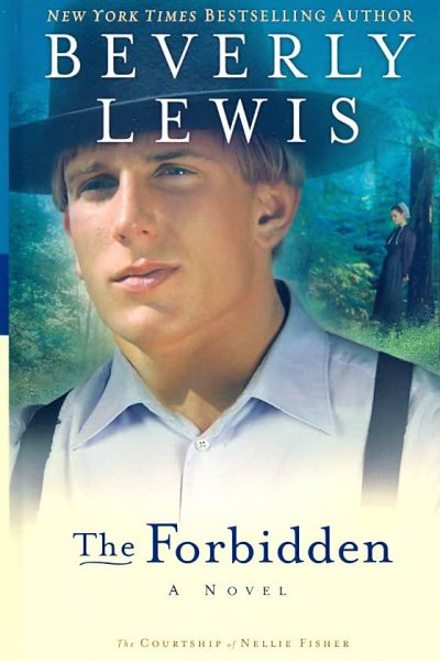 The forbidden : a novel / Beverly Lewis.
