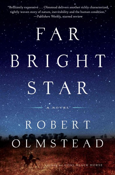 Far bright star : a novel / by Robert Olmstead.