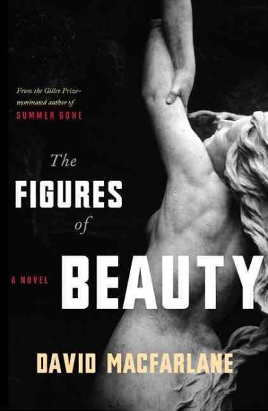 The figures of beauty : a novel / David Macfarlane.
