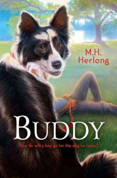 Buddy / M.H. Herlong.