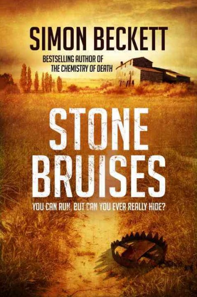 Stone bruises / Simon Beckett.