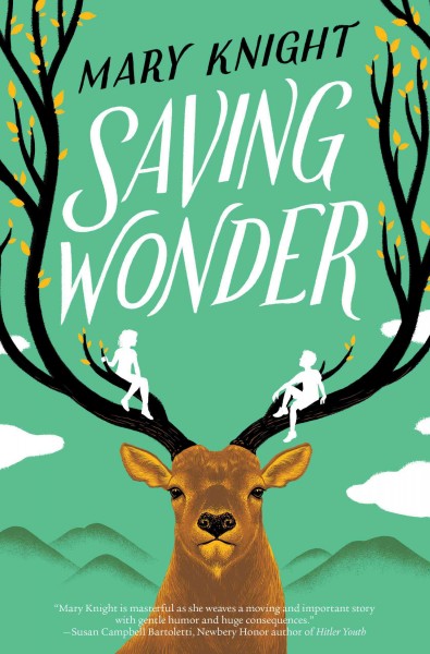 Saving Wonder / Mary Knight.