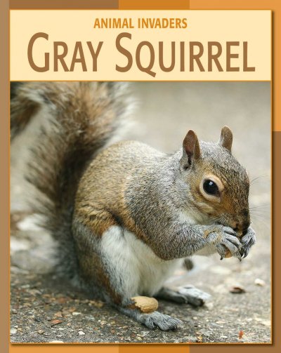 Gray squirrel / Barbara A. Somervill.