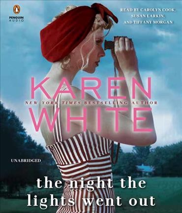 The night the lights went out / Karen White.