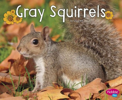 Gray squirrels / by G. G. Lake.