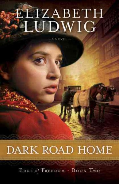 Dark Road Home BK 2 Hardcover Book{HCB}