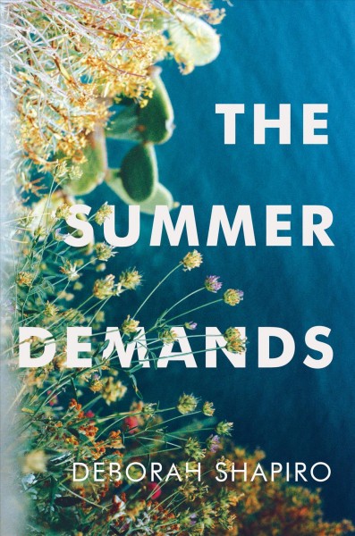 The summer demands / Deborah Shapiro.