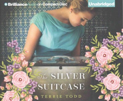 The silver suitcase / Terrie Todd.