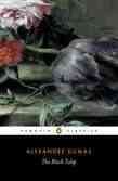 The black tulip / Alexandre Dumas ; translated with an introduction and notes by Robin Buss.