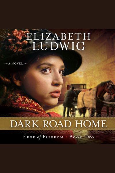 Dark road home : a novel [electronic resource] / Elizabeth Ludwig.