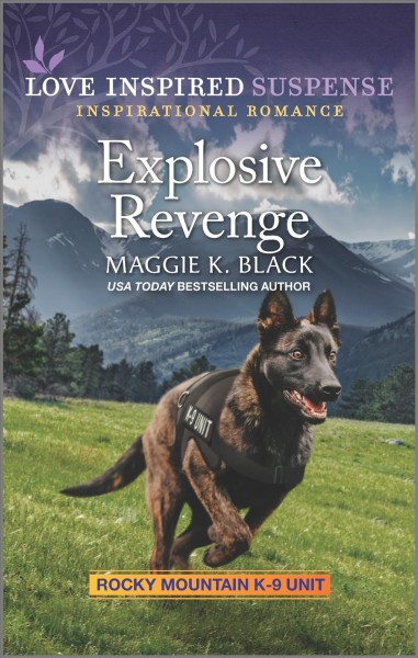 Explosive revenge / Maggie K. Black.