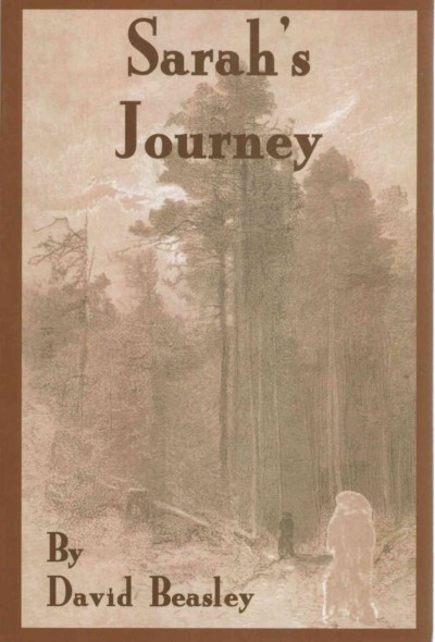 Sarah's journey [electronic resource] / David Beasley.