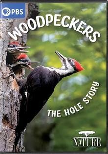 Woodpeckers [videorecording] : the hole story.