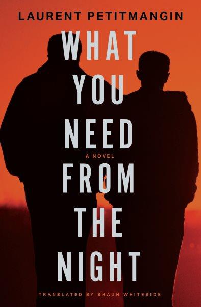 What you need from the night : a novel / Laurent Petitmangin ; translated from the French by Shaun Whiteside.