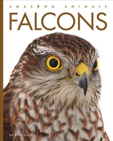 Falcons / by Kate Riggs.