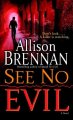 See no evil  Cover Image