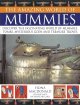The Amazing world of Mummies  Cover Image