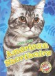 American shorthairs  Cover Image