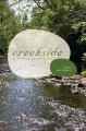 Creekside : an archaeological novel  Cover Image