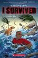 Go to record I survived Hurricane Katrina, 2005 : the graphic novel