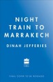 Night train to Marrakech  Cover Image